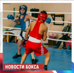 Чемпионат и Первенство Таганрога по боксу"