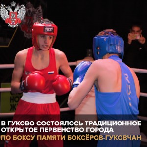 В Гуково состоялось традиционное Открытое первенство города по боксу памяти боксеров-гуковчан.